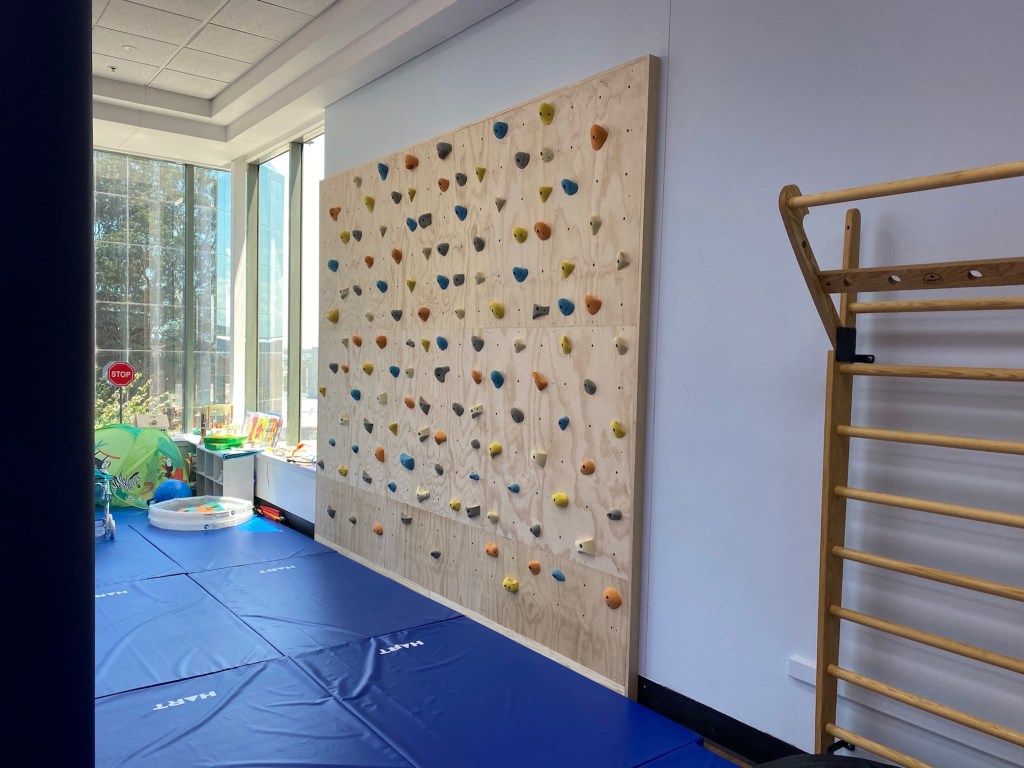 Indoor therapy climbing wall